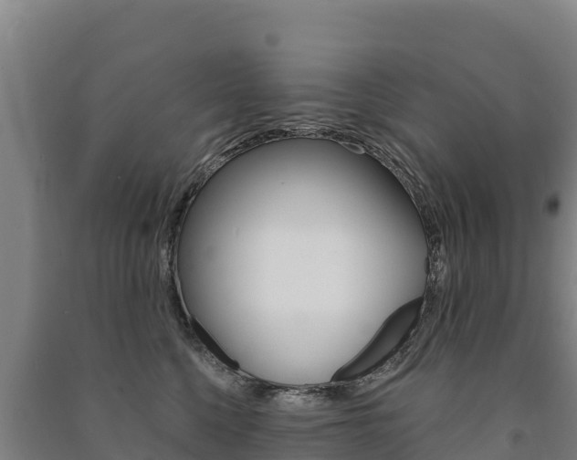 X0000091470568200708161130