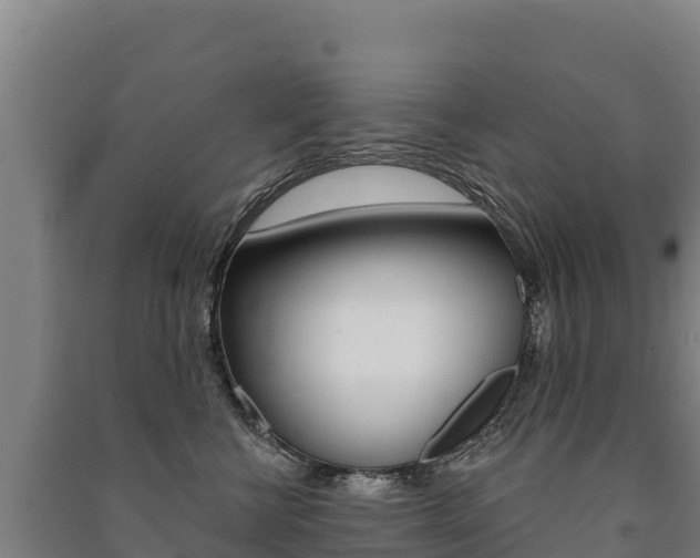 X0000091470570200708161130