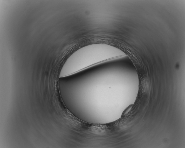 X0000091470571200708161130