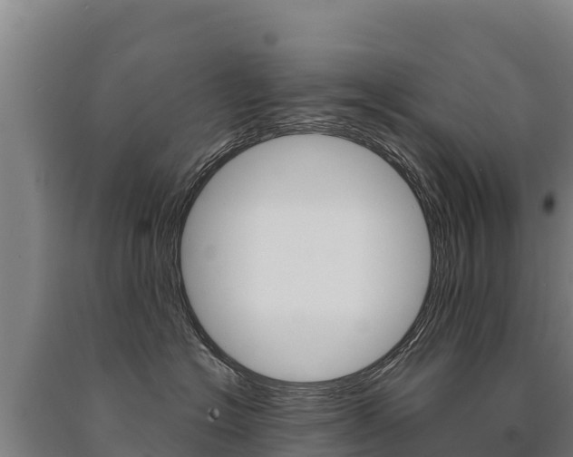 X0000091470574200708161130