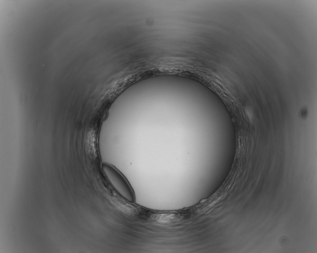 X0000091470575200708161130