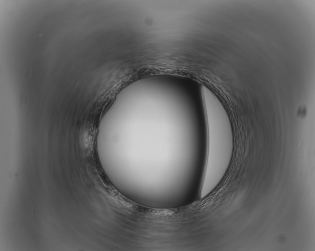 X0000091470576200708161130
