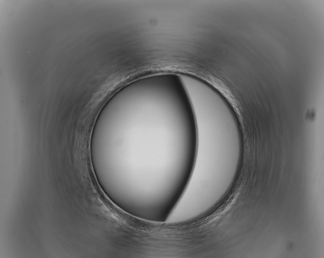 X0000091470577200708161130