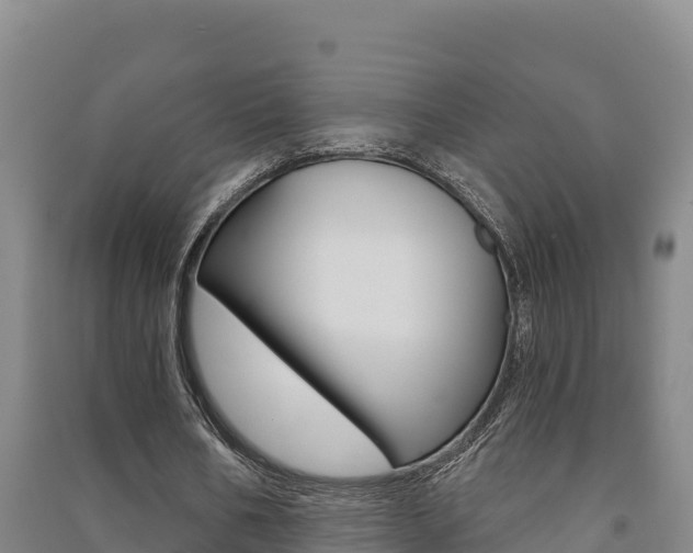 X0000091470578200708161130