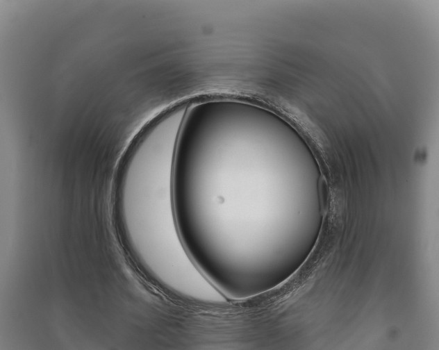 X0000091470580200708161129