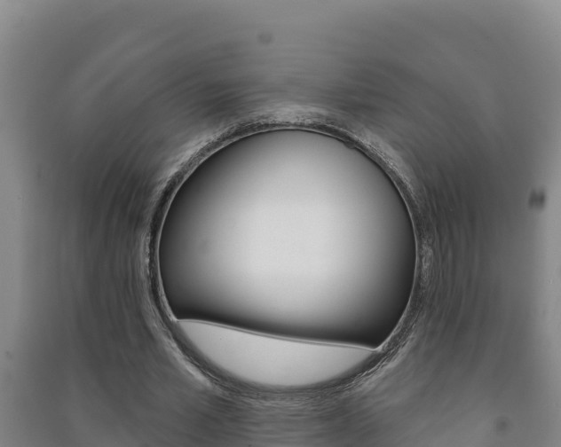X0000091470581200708161129