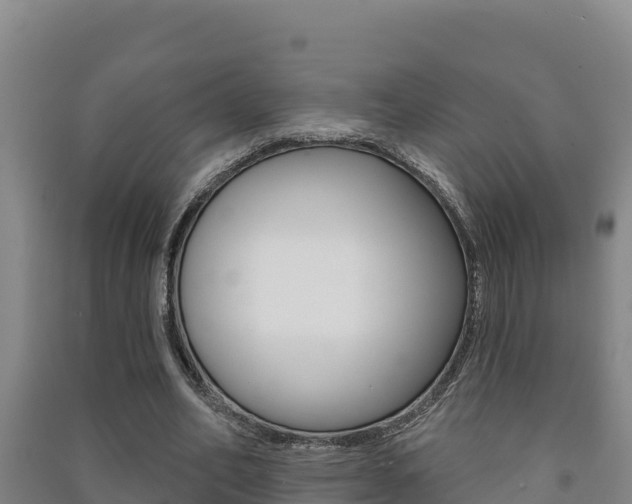 X0000091470582200708161129