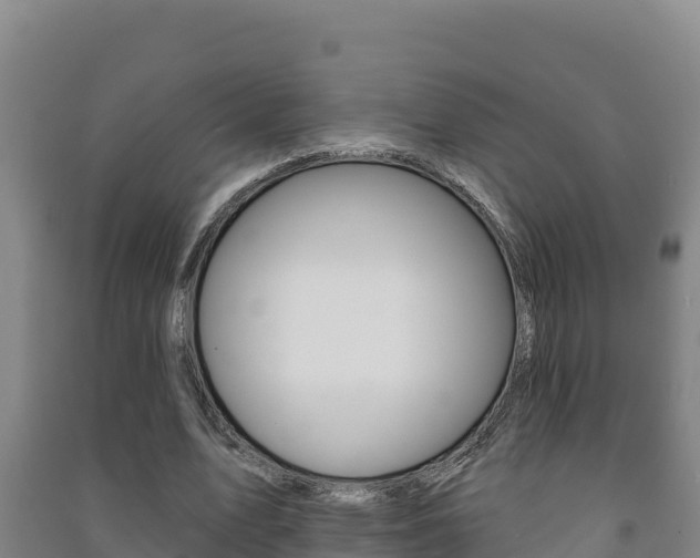 X0000091470583200708161129