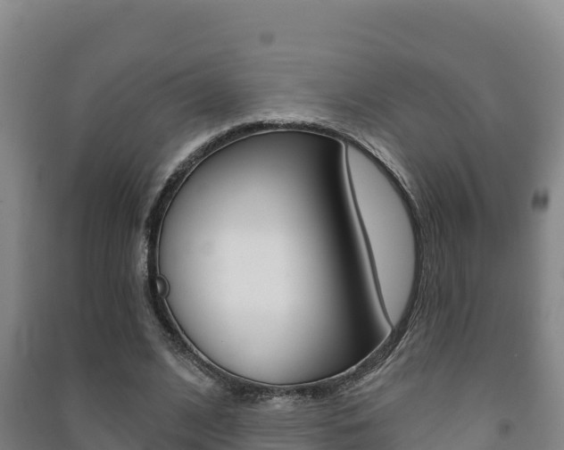X0000091470584200708161129
