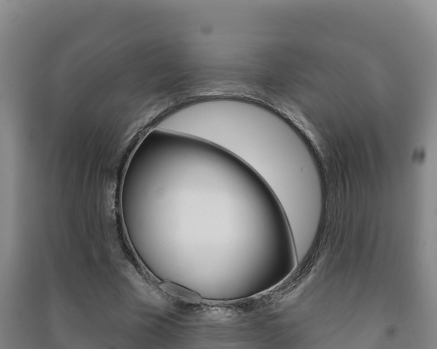 X0000091470585200708161129