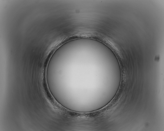 X0000091470586200708161129