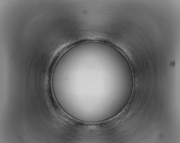 X0000091470587200708161129