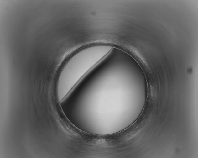 X0000091470588200708161129