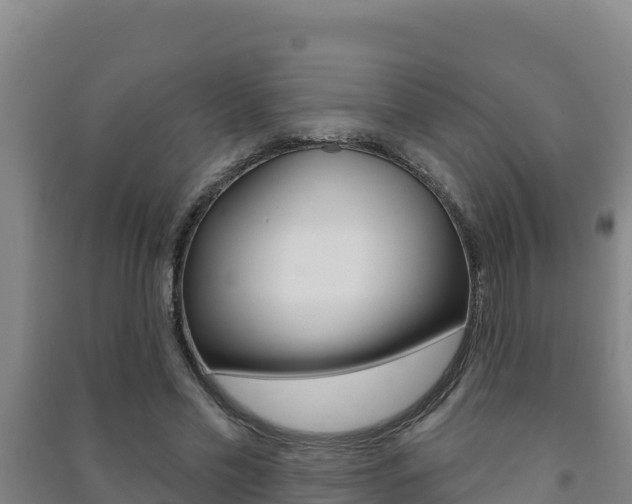 X0000091470589200708161129