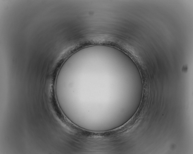 X0000091470590200708161129