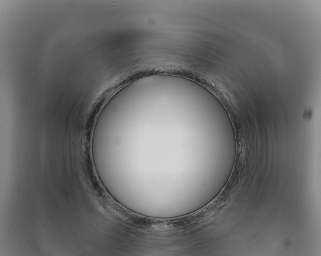 X0000091470591200708161129