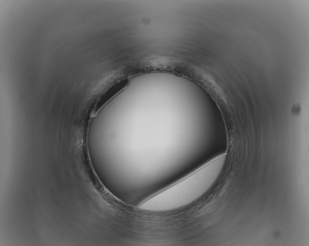 X0000091470593200708161129
