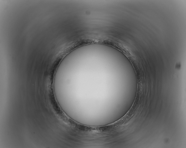 X0000091470594200708161129