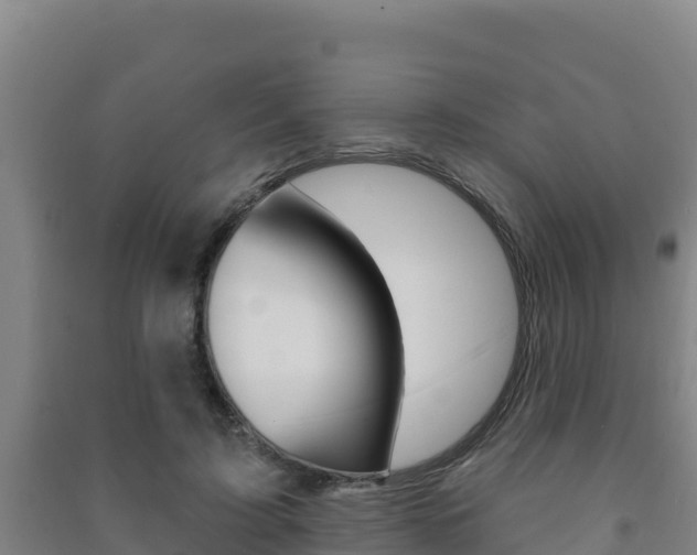 X0000091470595200708161129