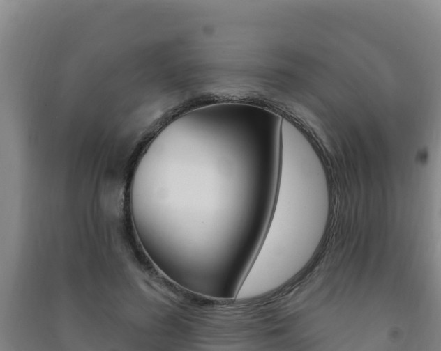X0000091470596200708161129