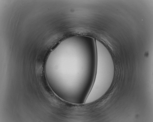 X0000091470597200708161129