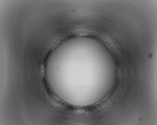 X0000091470598200708161129