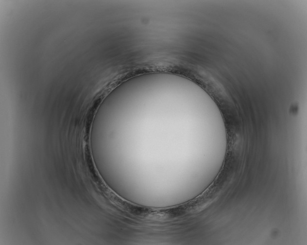 X0000091470599200708161129
