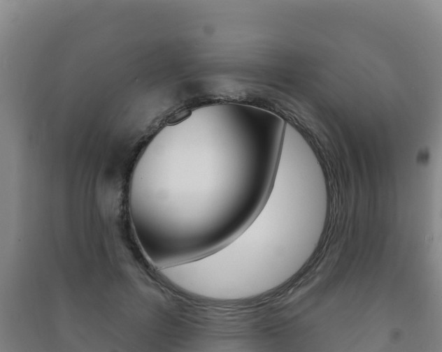 X0000091470600200708161129
