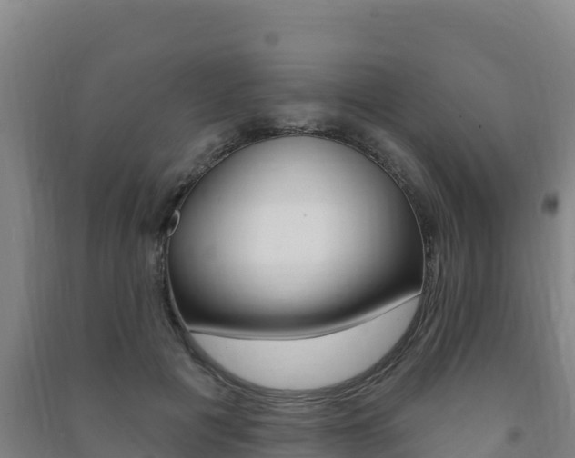 X0000091470601200708161129