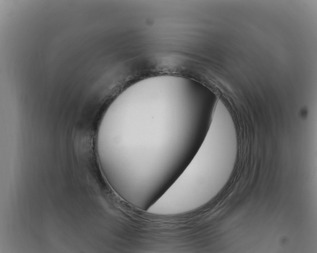 X0000091470603200708161129