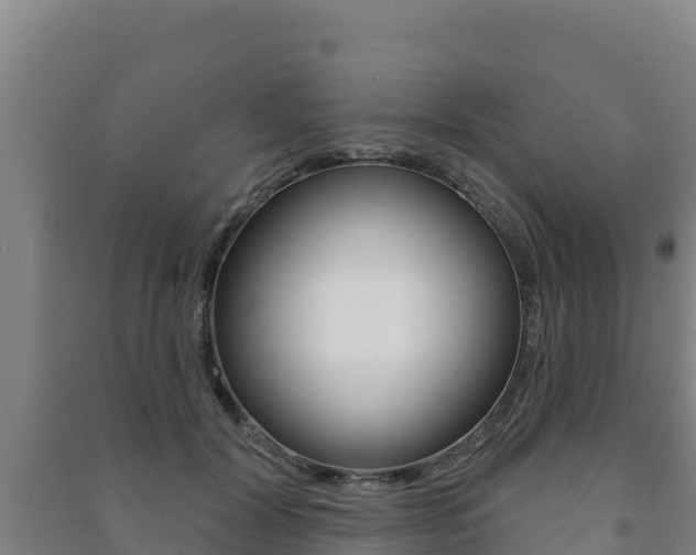 X0000091470604200708161129