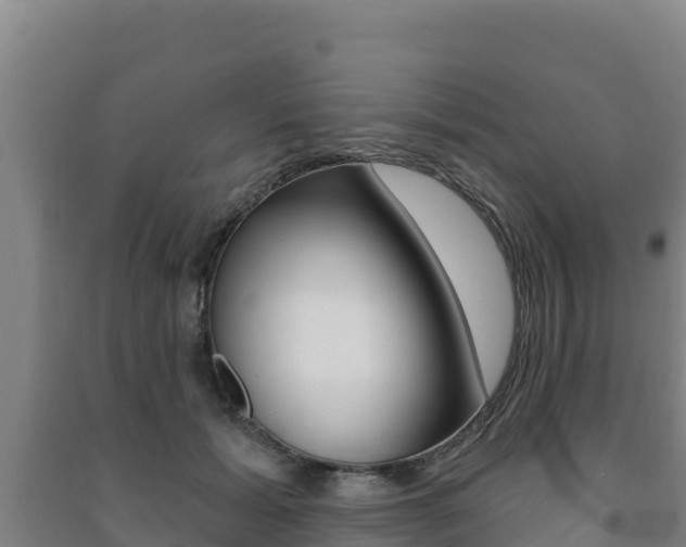 X0000091470605200708161129