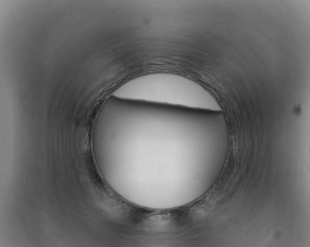 X0000091470606200708161129
