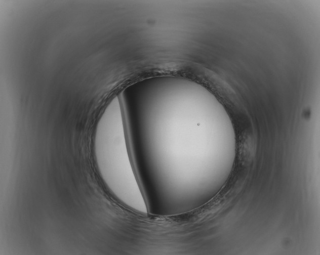 X0000091470608200708161129