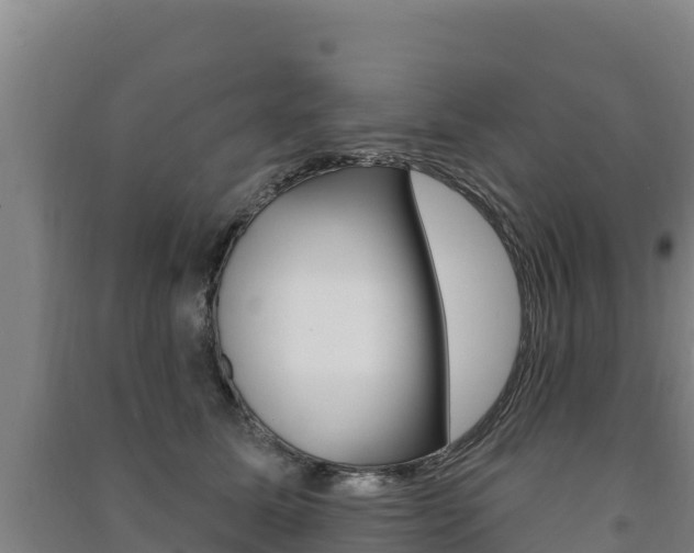 X0000091470611200708161129
