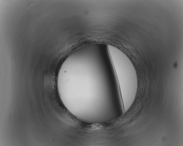 X0000091470612200708161129