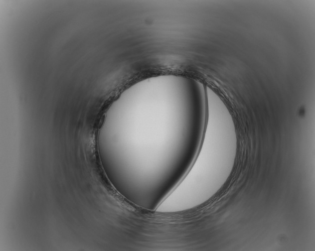 X0000091470613200708161129