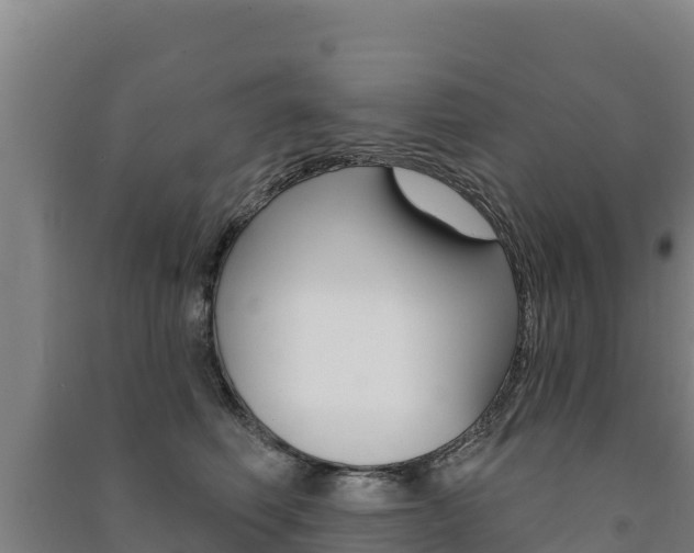 X0000091470614200708161129