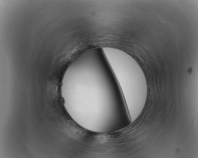 X0000091470615200708161129