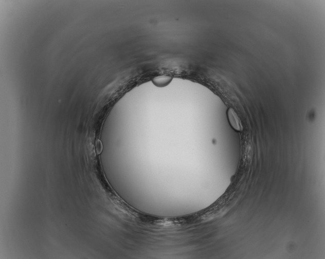 X0000091470616200708161129