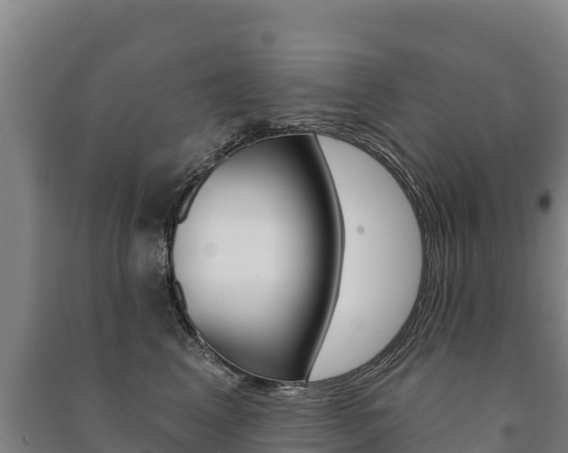 X0000091470617200708161129