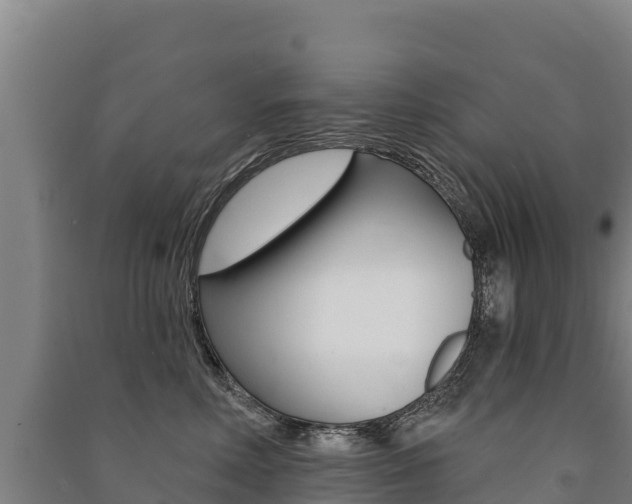 X0000091470618200708161129