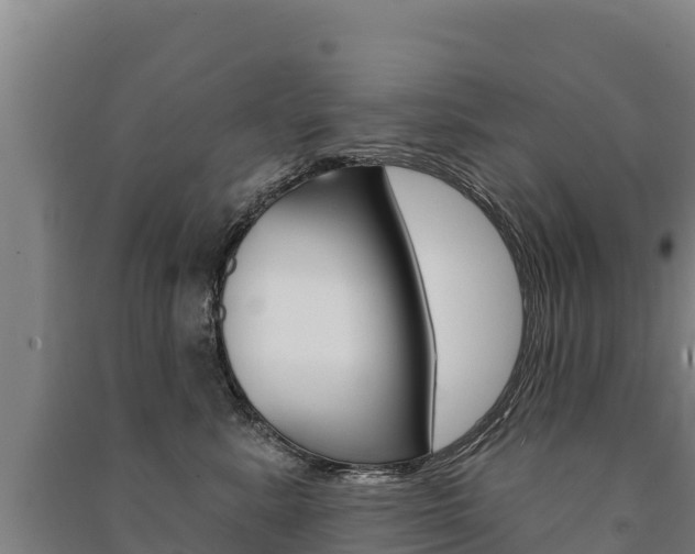 X0000091470619200708161129
