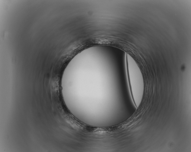 X0000091470620200708161129