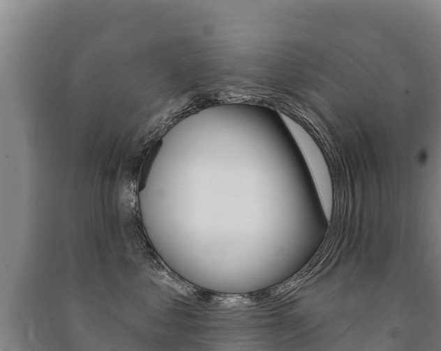 X0000091470621200708161129