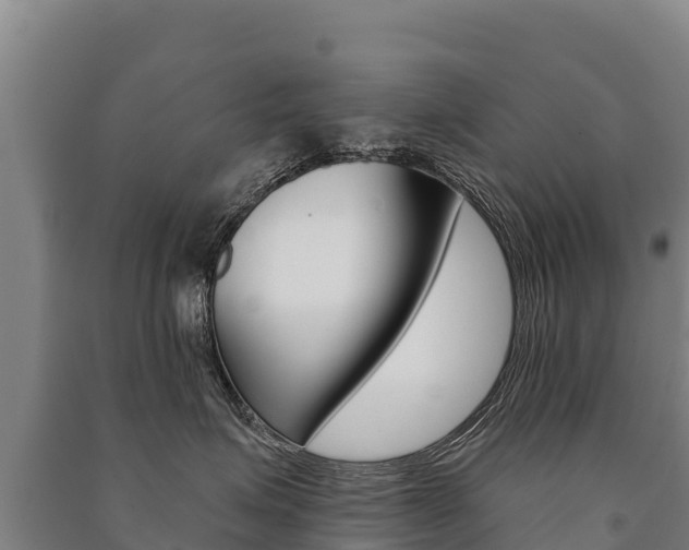 X0000091470623200708161129