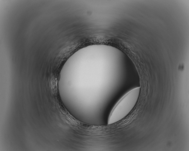 X0000091470624200708161129