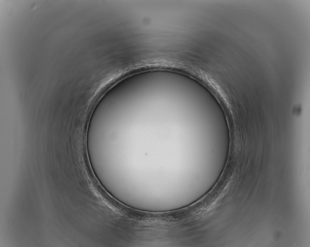X0000091470625200708161128
