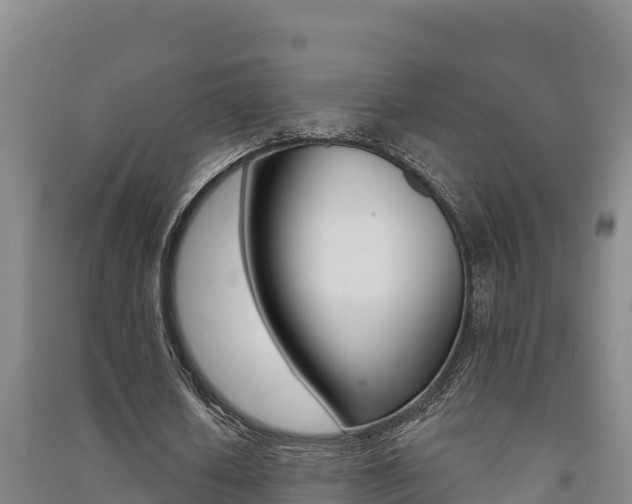 X0000091470626200708161128