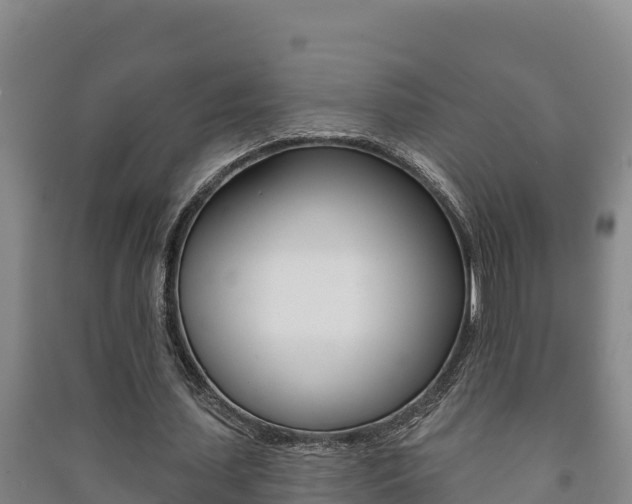 X0000091470627200708161128